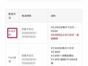 shein何日で届く 注文前：商品ページと配送情報ページの到着予定日